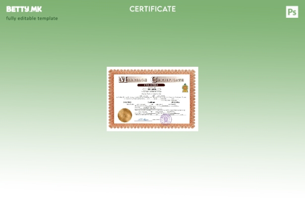 модерен стил на Шри Ланка венчаница Шаблон Word и PDF, шаблон